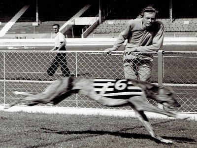 1959 Greyhound Derby