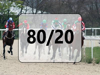 80/20 Strategy Horse Racing