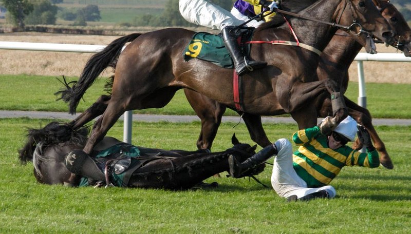 AP McCoy Falls in Race