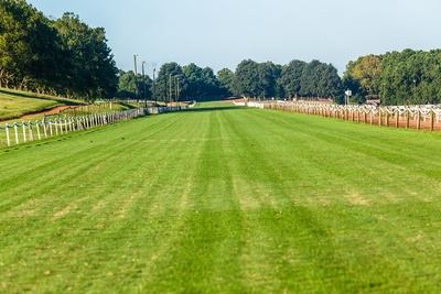 Horse Race Track Ground Condition