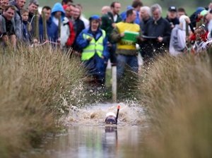 Bog Snorkelling