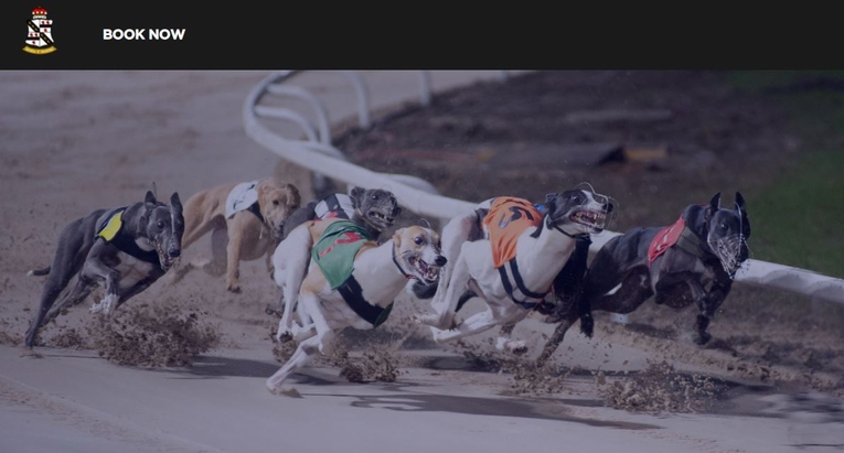 English Greyhound Derby
