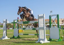 Equestrian Jumping