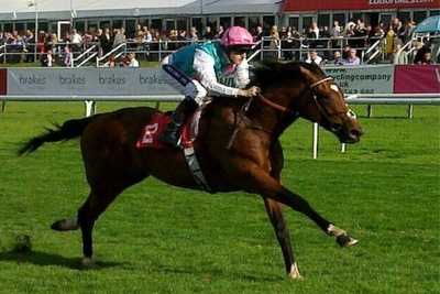 Frankel Horse