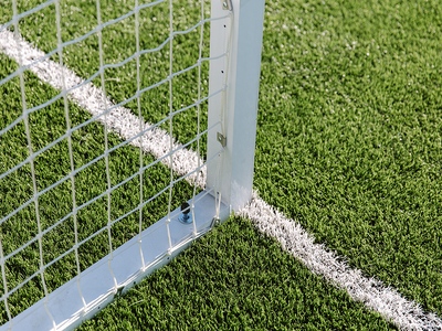 Goal Line and Goal Posts