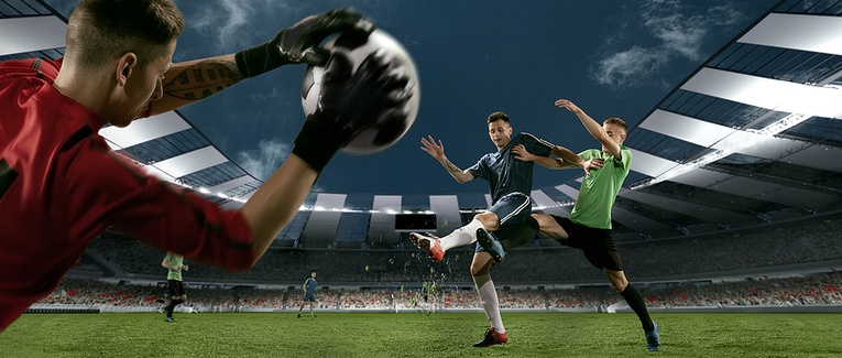 Goalkeeper Saves Shot