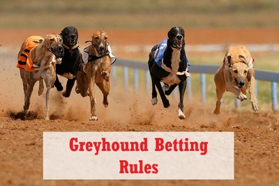 Greyhound Betting Rules