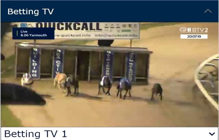 Greyhound Live Betting
