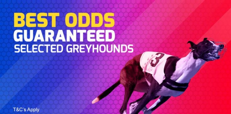 Greyhounds Best Odds Guaranteed