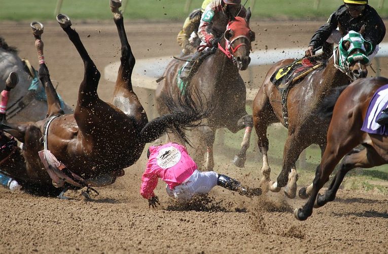 Horse Falls in Race