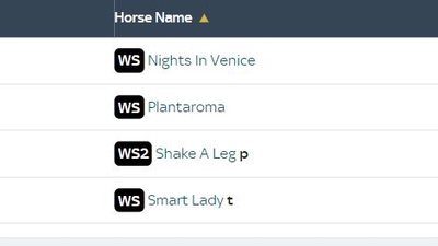 Horse Has Had Wind Surgery