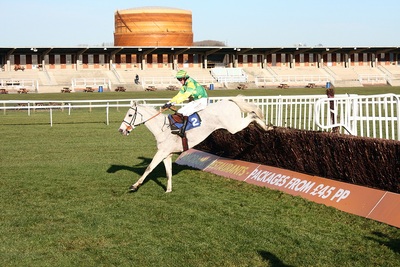 Horse Jumping a Fence