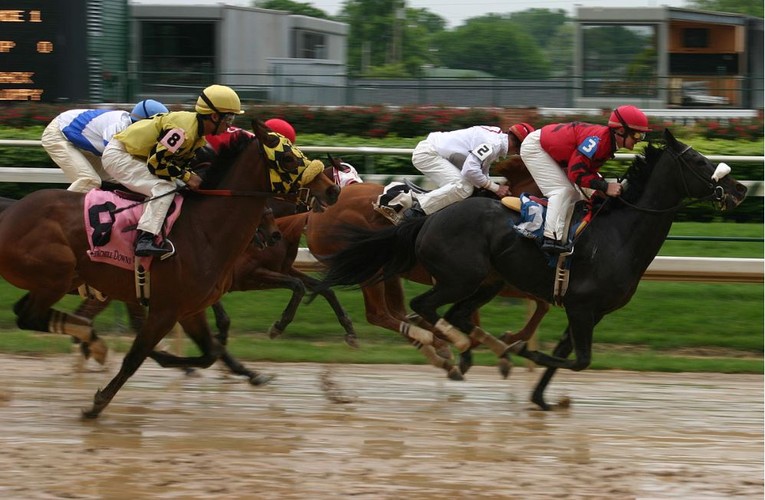 Horse Race Going Wet Weather