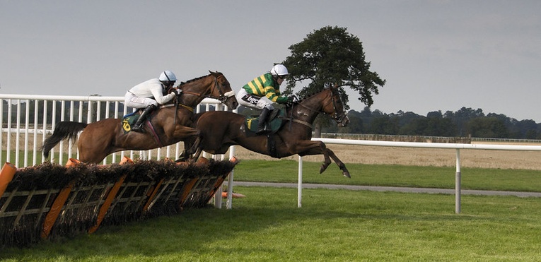 Horse Race Hurdle