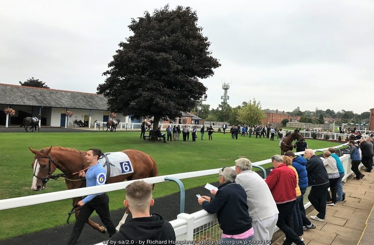 Horse Race Parade Ring