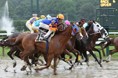 Horse Racing in the Rain