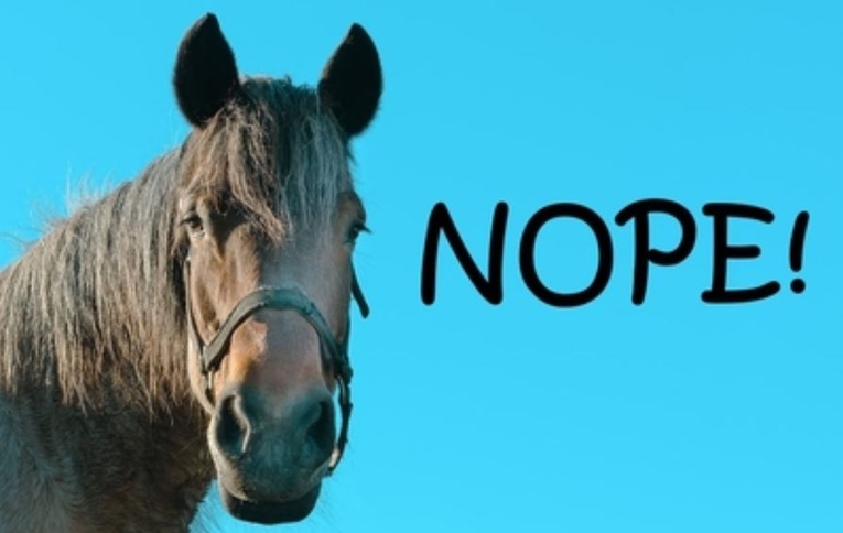 Horse Refusing to Race