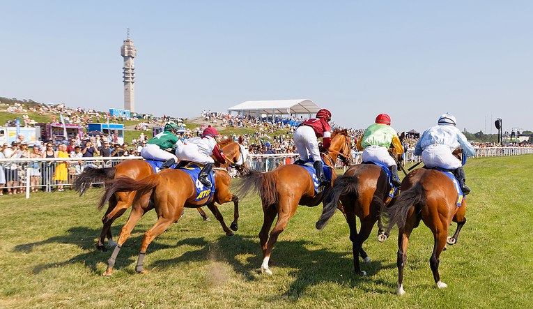 Horses Heading for the Finish