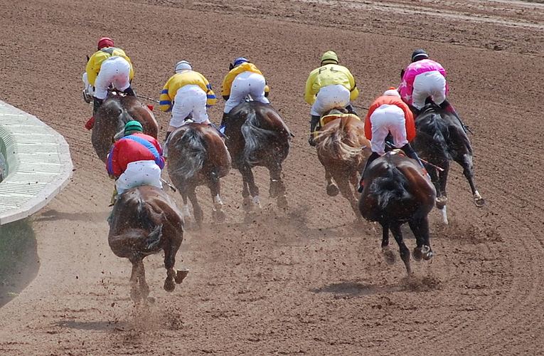 Horses Losing the Race