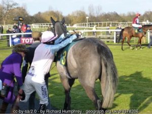 Jockey Mounting Horse After Fall