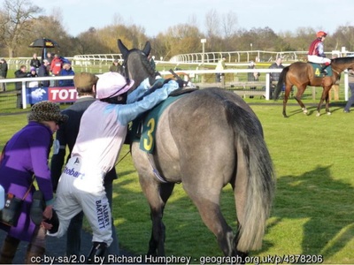 Jockey Mounting Horse After Fall