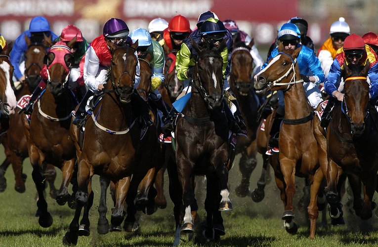Race Horses Grouped Together