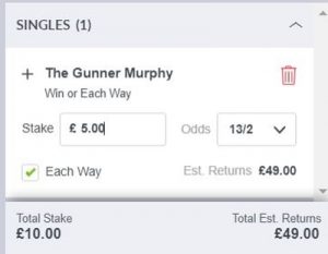 Horse Racing Win Each Way Bet