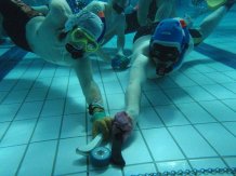 Underwater Hockey Underwater Hockey