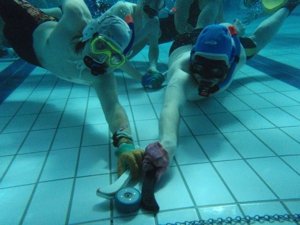 Underwater Hockey