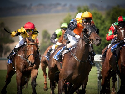 What is a Bumper in Horse Racing