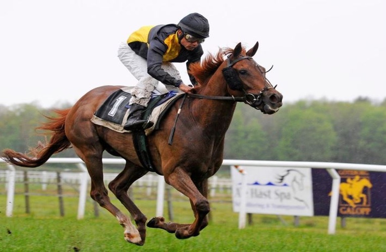 What is a Juvenile Horse Race