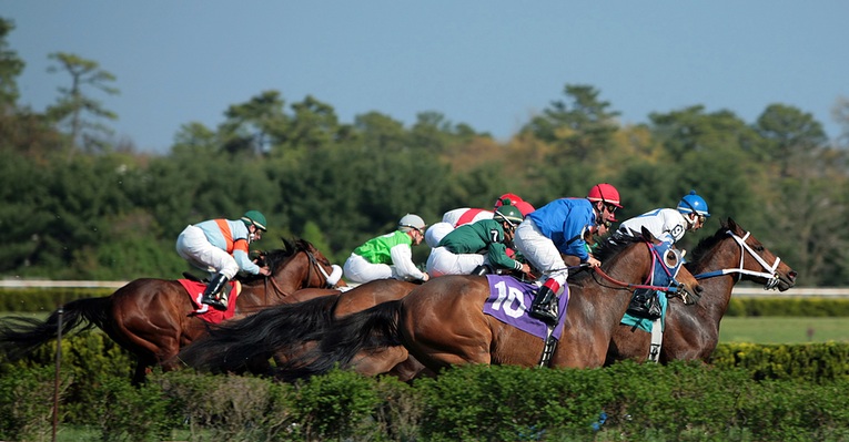 What is a Maiden Horse Race