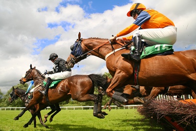 What is a Novice in Horse Racing