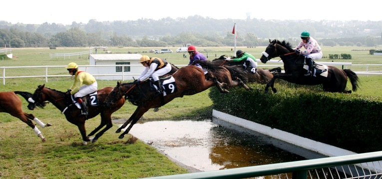 What is a Steeplechase in Horse Racing