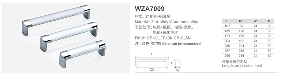 WZA7009-1.jpg