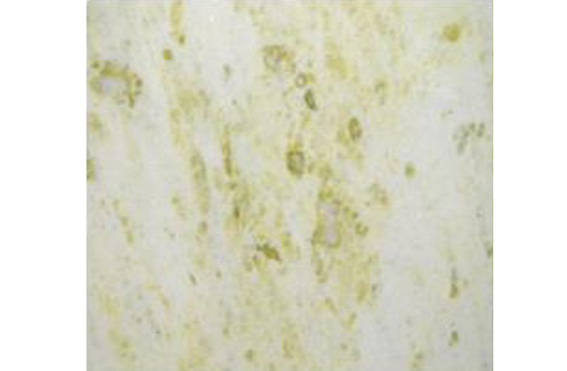 marble-catalog92.jpg