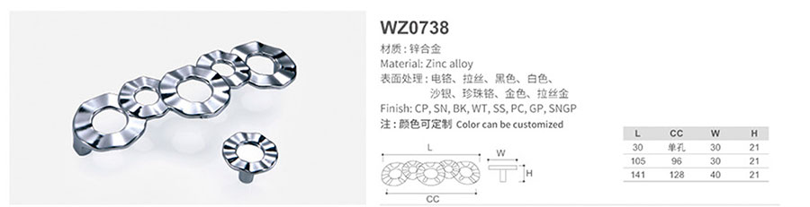 WZ0738-1.jpg