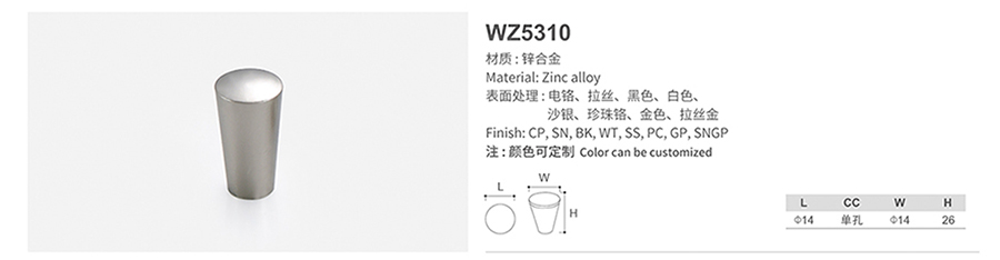 WZ5310-1.jpg