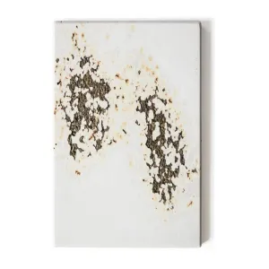 Tea Waste Composite Board