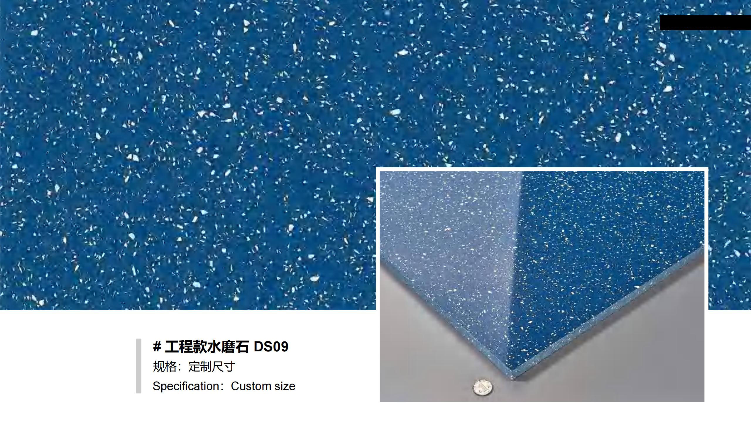 DS09