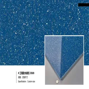 Project Color DS09
