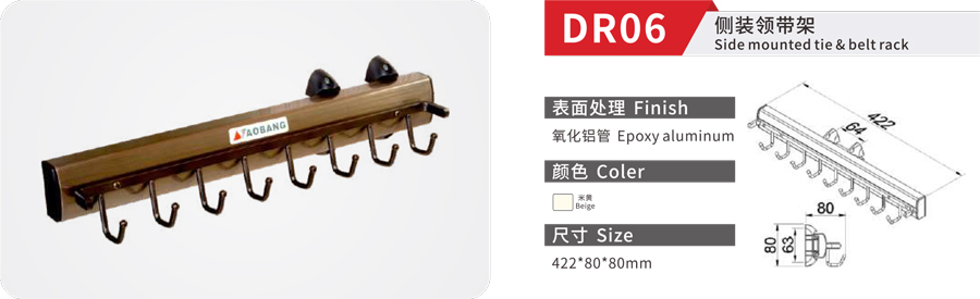 DR06-1.jpg