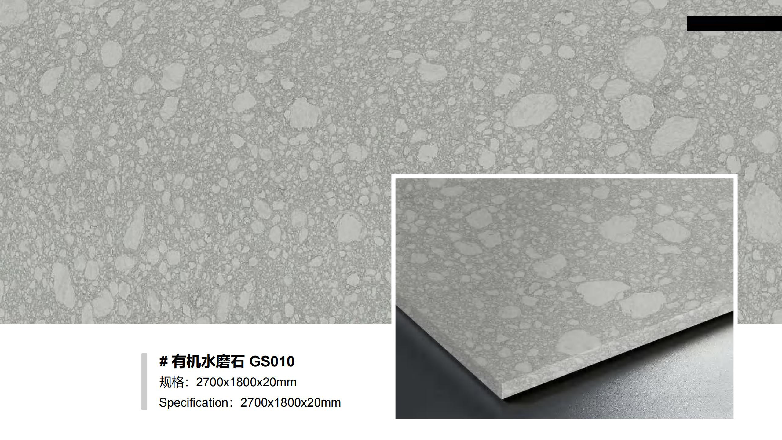 GS010