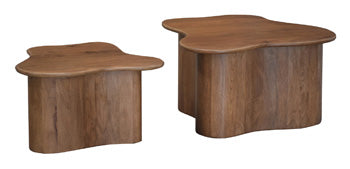 Abeford Accent Coffee Table (Set of 2) - Furniture City (CA)l