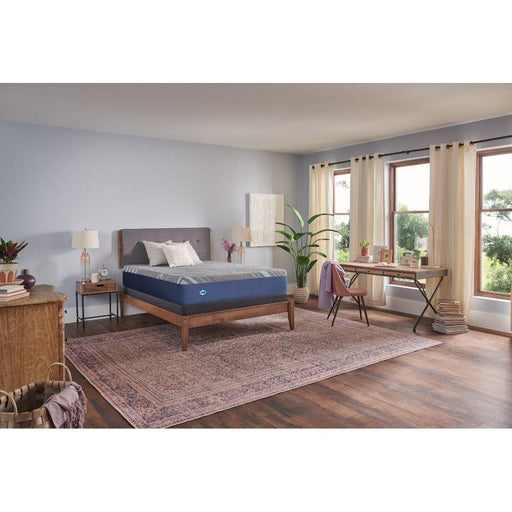 Sixth & Park Foam Mattress - Furniture City (CA)l